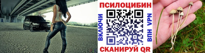где можно купить   Ангарск  Псилоцибиновые грибы GOLDEN TEACHER 